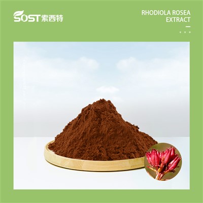 टैच नाइके 20240808।