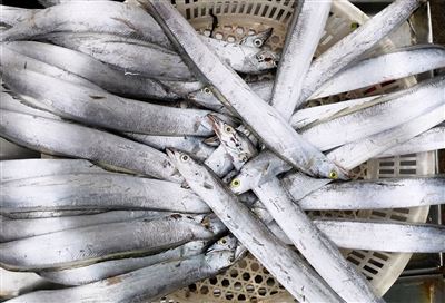 द्सद्सदद्सद्सद 2019।