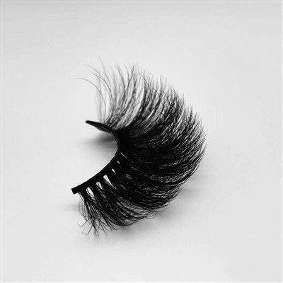 पीएल 2019।